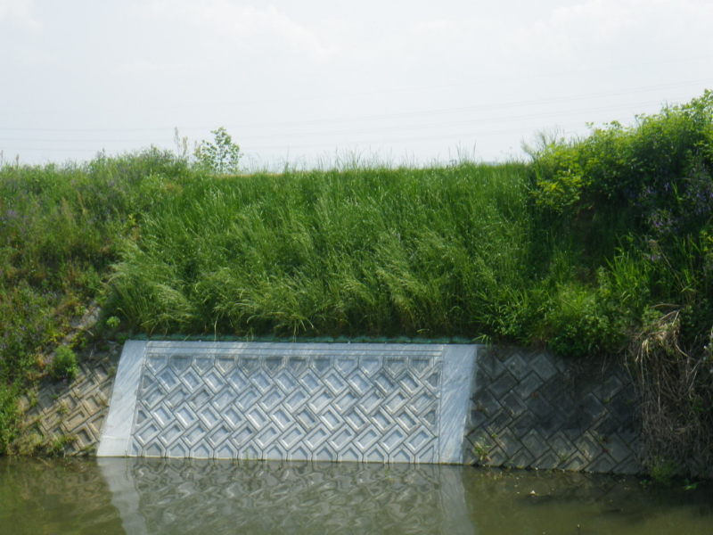 Công trình bảo dưỡng, sửa chữa bờ sông Hamadogawa, tỉnh Kagawa